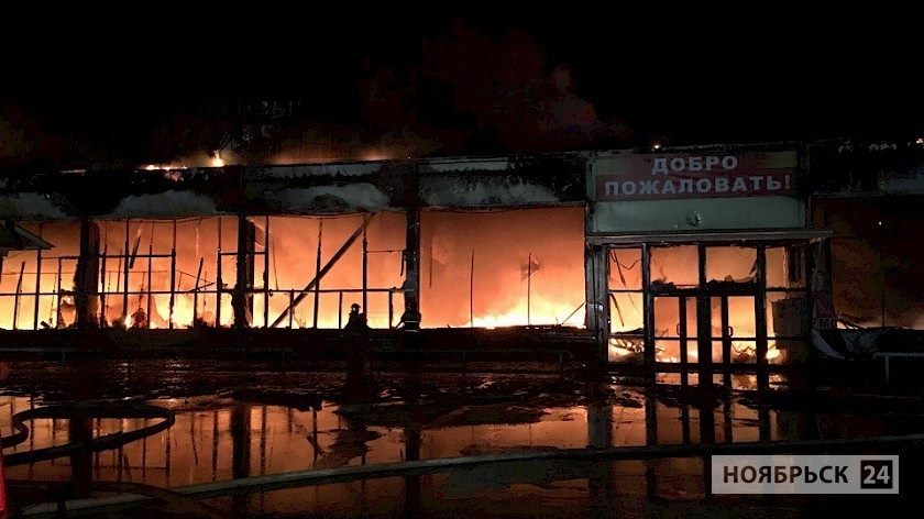 Пожары в ТЦ на Ямале, Зимняя вишня, коррупция, противодействие коррупции